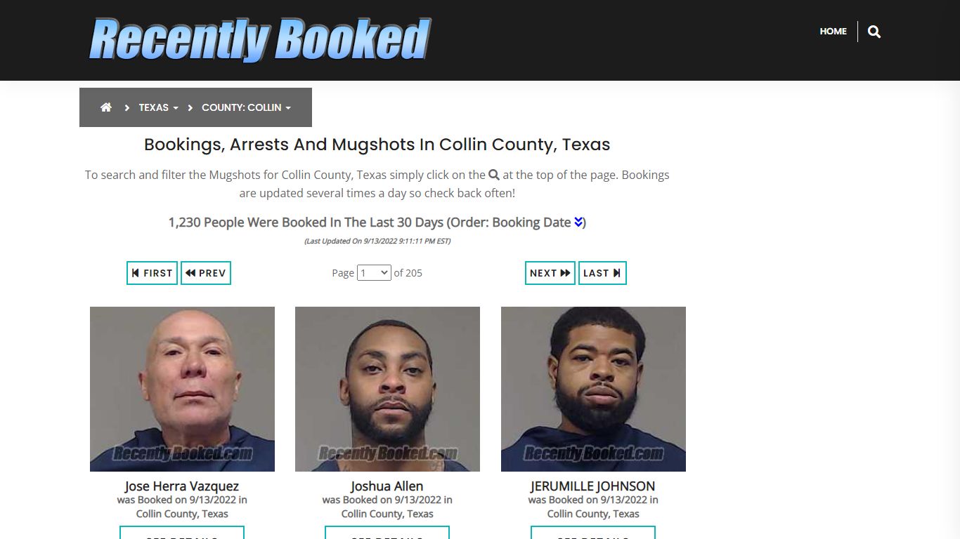 Recent bookings, Arrests, Mugshots in Collin County, Texas